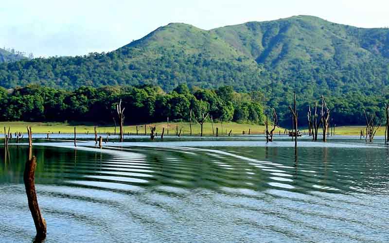 Thekkady